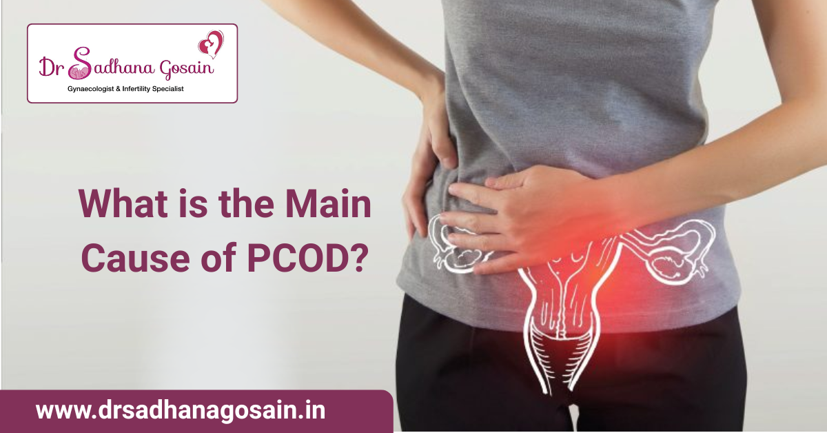 What is the Main Cause of PCOD?