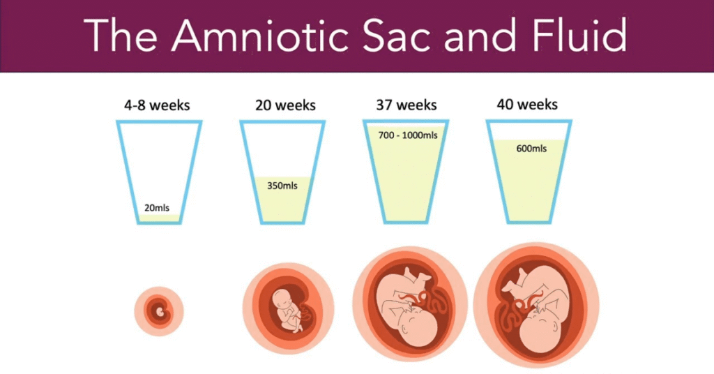Amniotic fluid in 7th month pregnancy