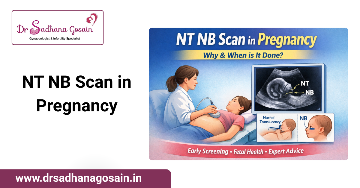 NT NB Scan in Pregnancy: Why & When is It Done?